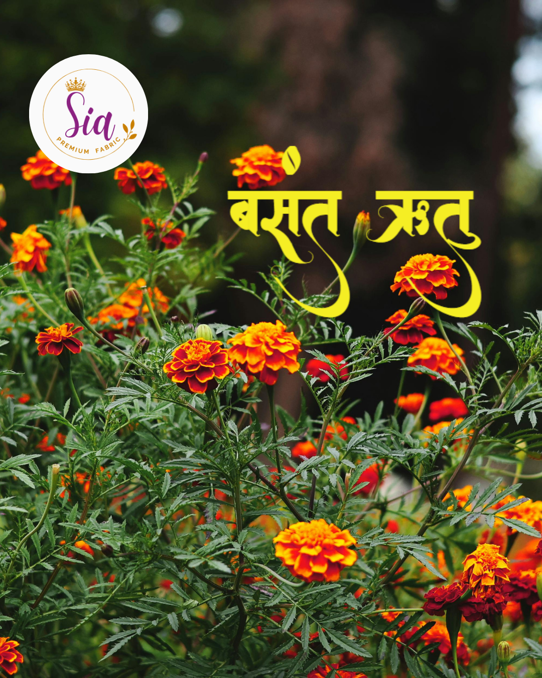 Basant Ritu Yellow Special