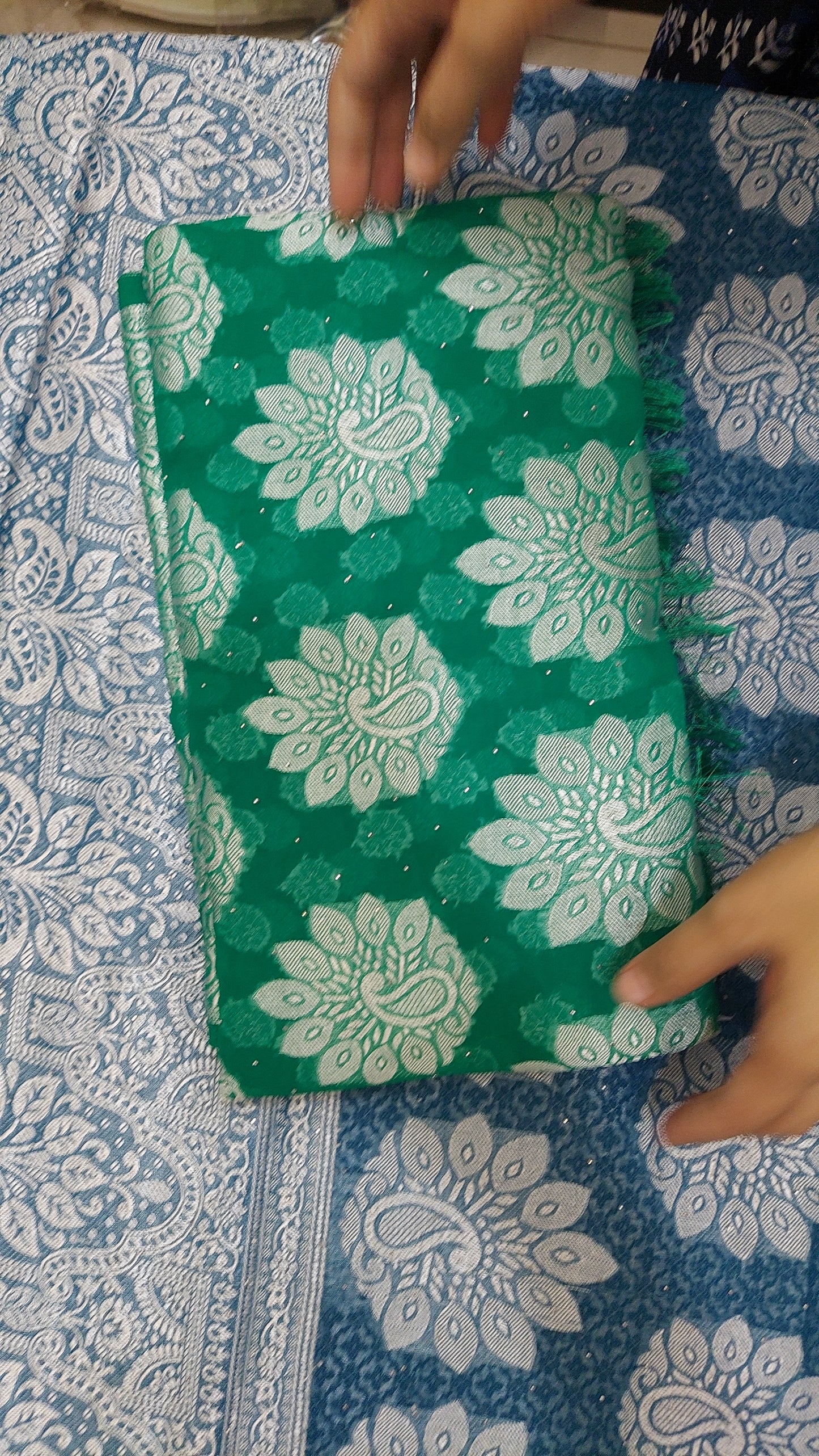 Green chiffon brasso saree with Peackock motifs and Heavy Zari Border - Sia Premium Fabric